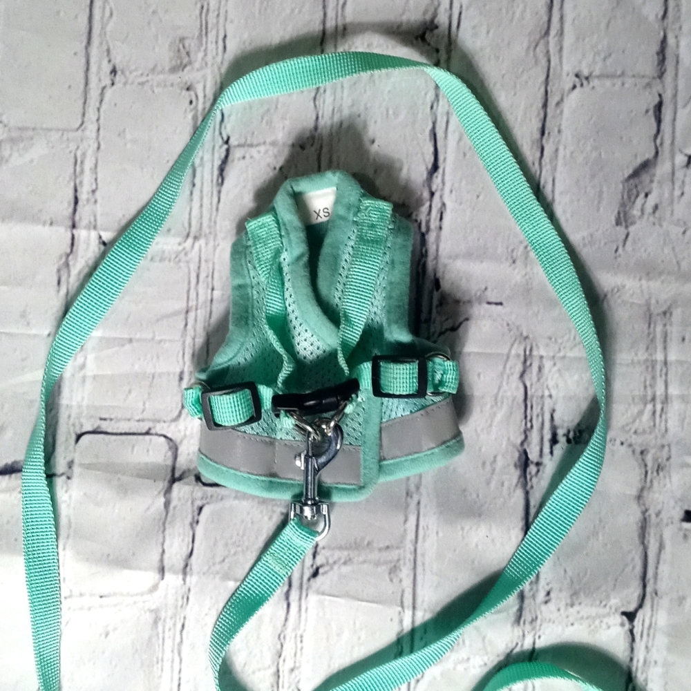 Teal Cute vest with Leash Unisex & Multibreed